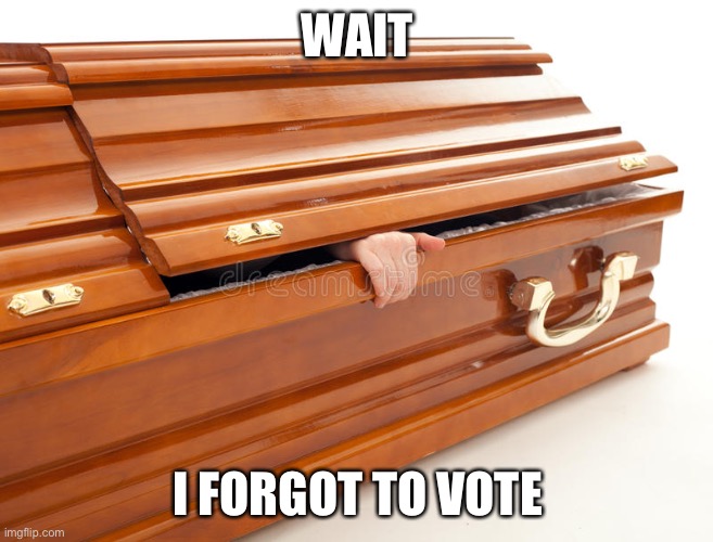 Still Alive Coffin | WAIT I FORGOT TO VOTE | image tagged in still alive coffin | made w/ Imgflip meme maker