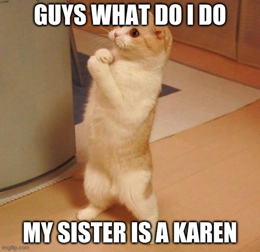 asking cat | GUYS WHAT DO I DO; MY SISTER IS A KAREN | image tagged in asking cat | made w/ Imgflip meme maker