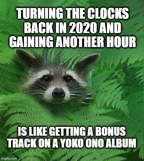 Is it over yet? | TURNING THE CLOCKS BACK IN 2020 AND GAINING ANOTHER HOUR; IS LIKE GETTING A BONUS TRACK ON A YOKO ONO ALBUM | image tagged in dumpster fire 2020,2020,daylight saving time | made w/ Imgflip meme maker
