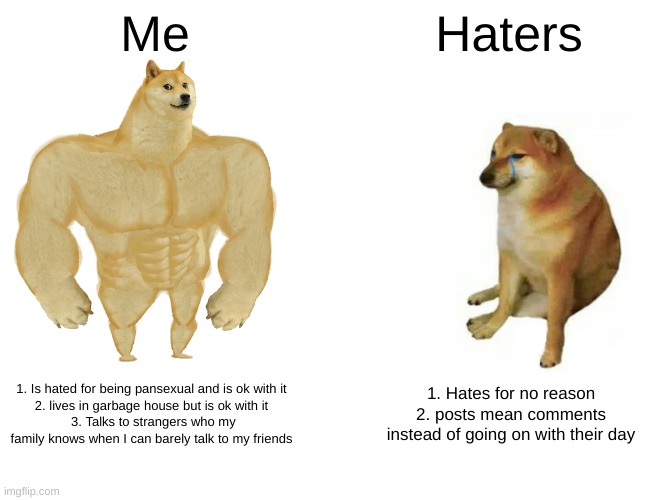 Buff Doge vs. Cheems Meme | Me; Haters; 1. Is hated for being pansexual and is ok with it
2. lives in garbage house but is ok with it
 3. Talks to strangers who my family knows when I can barely talk to my friends; 1. Hates for no reason
2. posts mean comments instead of going on with their day | image tagged in memes,buff doge vs cheems | made w/ Imgflip meme maker