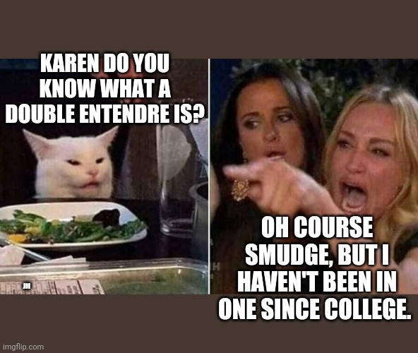 Reverse Smudge and Karen | KAREN DO YOU KNOW WHAT A DOUBLE ENTENDRE IS? OH COURSE SMUDGE, BUT I HAVEN'T BEEN IN ONE SINCE COLLEGE. JM | image tagged in reverse smudge and karen | made w/ Imgflip meme maker