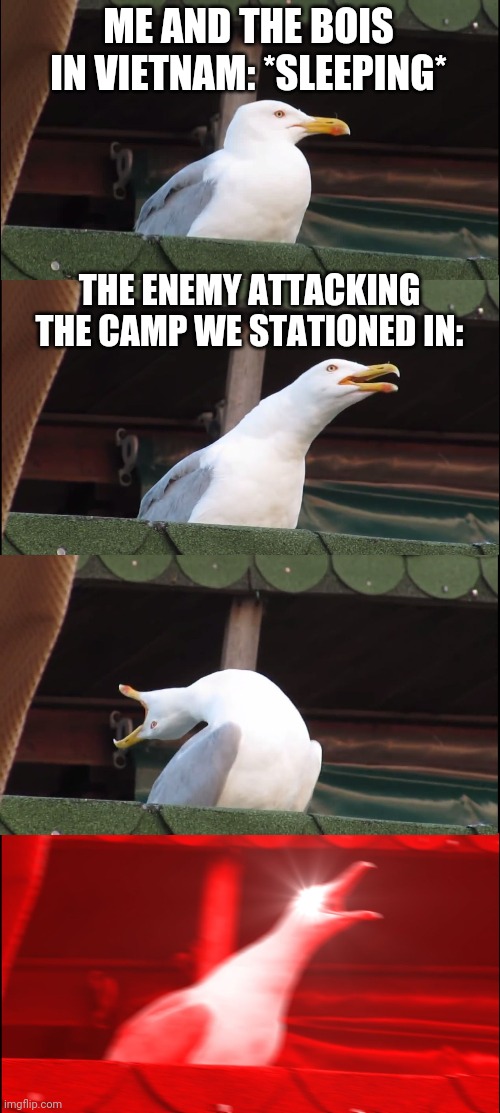 Inhaling Seagull | ME AND THE BOIS IN VIETNAM: *SLEEPING*; THE ENEMY ATTACKING THE CAMP WE STATIONED IN: | image tagged in memes,inhaling seagull | made w/ Imgflip meme maker
