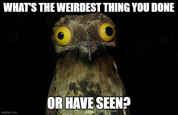 Mine's in the comments | WHAT'S THE WEIRDEST THING YOU DONE; OR HAVE SEEN? | image tagged in memes,weird stuff i do potoo | made w/ Imgflip meme maker
