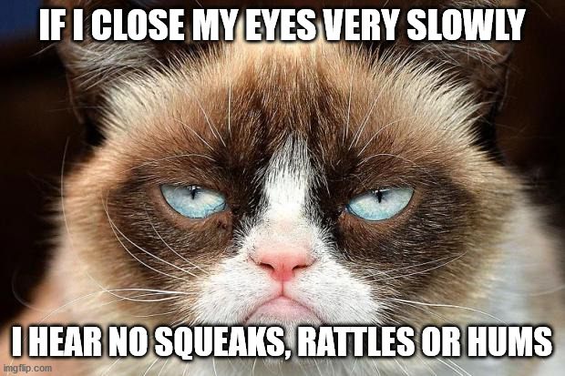 Grumpy Cat Not Amused | IF I CLOSE MY EYES VERY SLOWLY; I HEAR NO SQUEAKS, RATTLES OR HUMS | image tagged in memes,grumpy cat not amused,grumpy cat | made w/ Imgflip meme maker