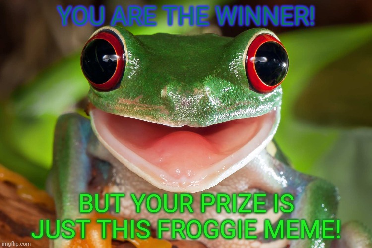 YOU ARE THE WINNER! BUT YOUR PRIZE IS JUST THIS FROGGIE MEME! | made w/ Imgflip meme maker