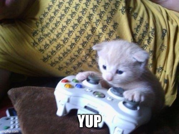 cute kitty on xbox | YUP | image tagged in cute kitty on xbox | made w/ Imgflip meme maker