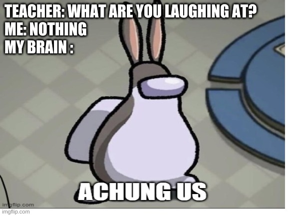 achungus | TEACHER: WHAT ARE YOU LAUGHING AT?

ME: NOTHING

MY BRAIN : | image tagged in funny memes | made w/ Imgflip meme maker