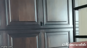 4kp85v.gif