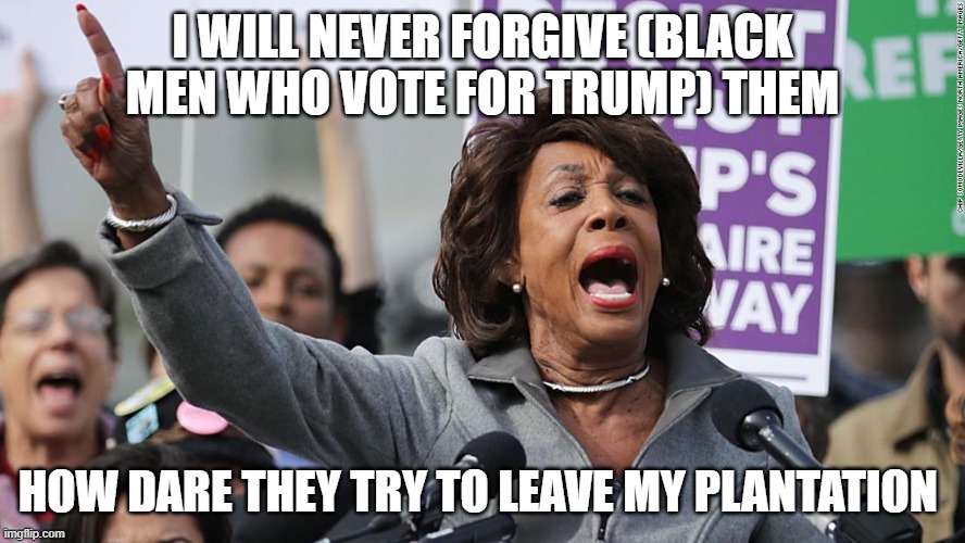 How dare they defy my rule | I WILL NEVER FORGIVE (BLACK MEN WHO VOTE FOR TRUMP) THEM; HOW DARE THEY TRY TO LEAVE MY PLANTATION | image tagged in maxine waters | made w/ Imgflip meme maker