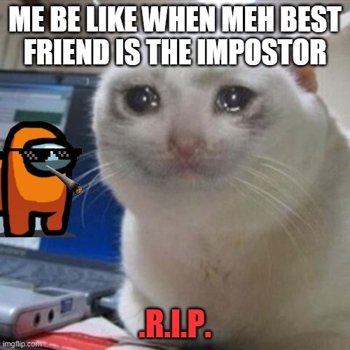 why me? | ME BE LIKE WHEN MEH BEST
FRIEND IS THE IMPOSTOR; .R.I.P. | image tagged in crying cat | made w/ Imgflip meme maker