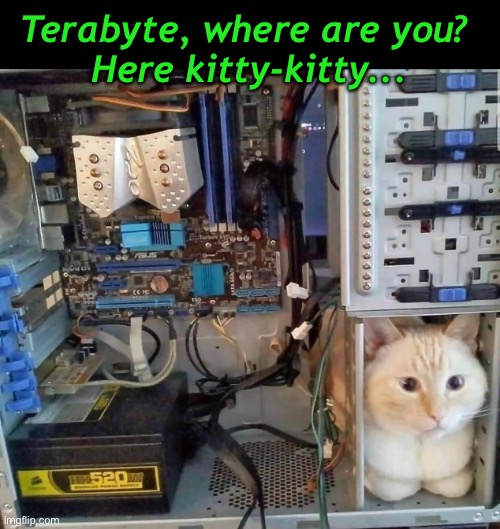 One Thousand Gigglebytes | Terabyte, where are you? 
Here kitty-kitty... | image tagged in funny memes,funny cat memes,funny,cats,funny cats | made w/ Imgflip meme maker