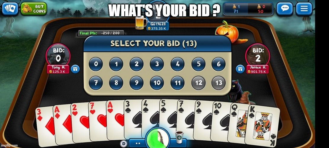 Your Bid | WHAT'S YOUR BID ? | image tagged in fun | made w/ Imgflip meme maker