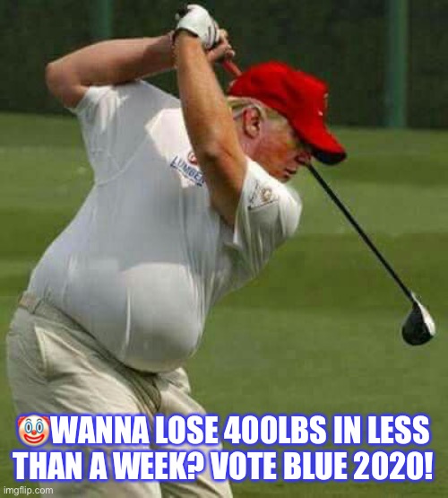 Vote Blue November 3rd 2020! | 🤡WANNA LOSE 400LBS IN LESS THAN A WEEK? VOTE BLUE 2020! | image tagged in donald trump,vote blue 2020,con man,clown,trump supporters,fat ass | made w/ Imgflip meme maker