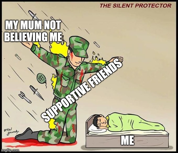 You are so important | MY MUM NOT BELIEVING ME; SUPPORTIVE FRIENDS; ME | image tagged in the silent protector | made w/ Imgflip meme maker