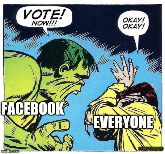 Facebook and Voting | FACEBOOK; EVERYONE; SSHEPARD2020 | image tagged in facebook,vote,voting,election 2020 | made w/ Imgflip meme maker