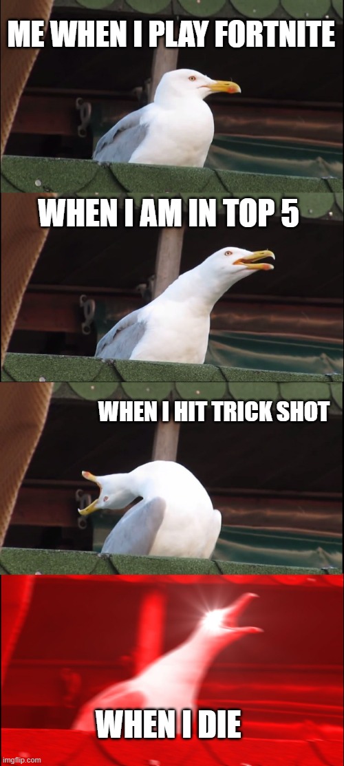 funny | ME WHEN I PLAY FORTNITE; WHEN I AM IN TOP 5; WHEN I HIT TRICK SHOT; WHEN I DIE | image tagged in memes,inhaling seagull | made w/ Imgflip meme maker