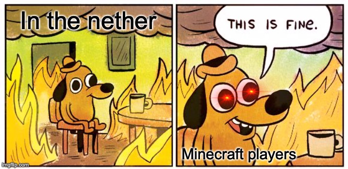 This Is Fine | In the nether; Minecraft players | image tagged in memes,this is fine | made w/ Imgflip meme maker