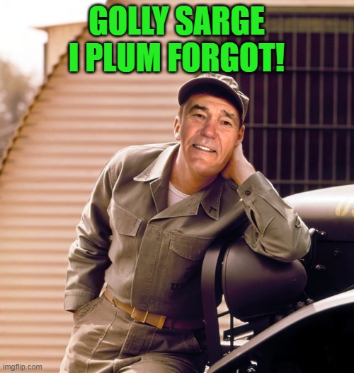 GOLLY SARGE I PLUM FORGOT! | image tagged in gomer | made w/ Imgflip meme maker