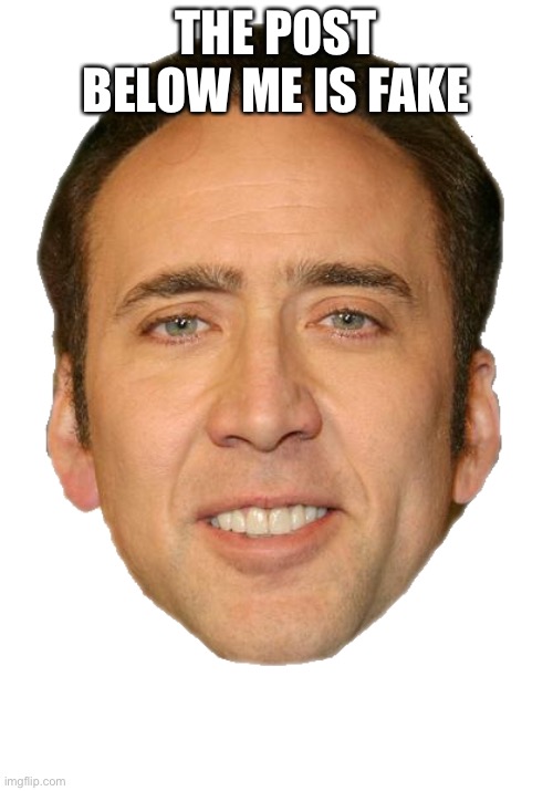 Nicolas cage face | THE POST BELOW ME IS FAKE | image tagged in nicolas cage face | made w/ Imgflip meme maker
