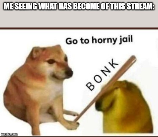 Go to horny jail | ME SEEING WHAT HAS BECOME OF THIS STREAM: | image tagged in go to horny jail | made w/ Imgflip meme maker