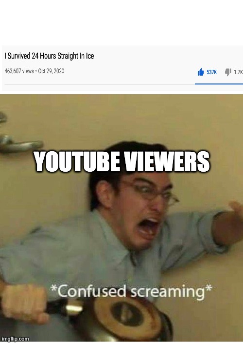 confused screaming | YOUTUBE VIEWERS | image tagged in confused screaming | made w/ Imgflip meme maker