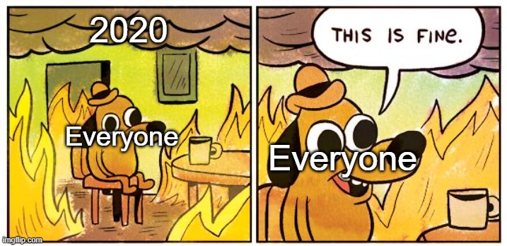 This Is Fine | 2020; Everyone; Everyone | image tagged in memes,this is fine | made w/ Imgflip meme maker