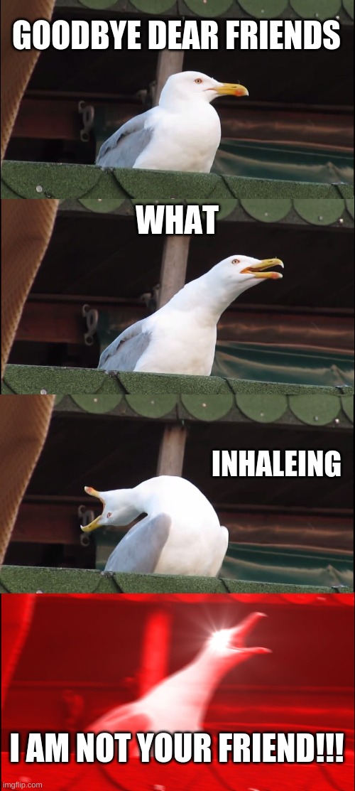 Inhaling Seagull Meme Imgflip