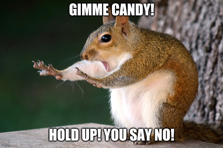 Whoa now Squirrel | GIMME CANDY! HOLD UP! YOU SAY NO! | image tagged in whoa now squirrel | made w/ Imgflip meme maker