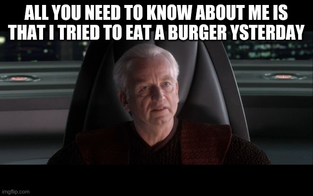 I am the Senate |  ALL YOU NEED TO KNOW ABOUT ME IS THAT I TRIED TO EAT A BURGER YSTERDAY | image tagged in i am the senate | made w/ Imgflip meme maker