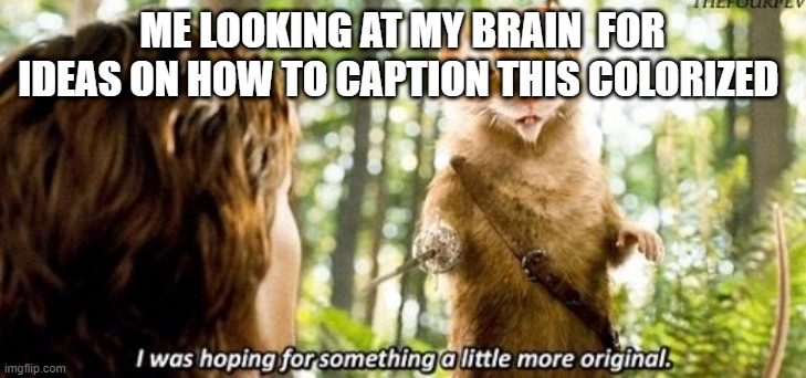 A bit meta | ME LOOKING AT MY BRAIN  FOR IDEAS ON HOW TO CAPTION THIS COLORIZED | image tagged in i was hoping for something a little more original | made w/ Imgflip meme maker
