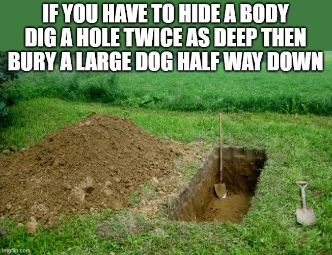 IF YOU HAVE TO HIDE A BODY DIG A HOLE TWICE AS DEEP THEN BURY A LARGE DOG HALF WAY DOWN | made w/ Imgflip meme maker