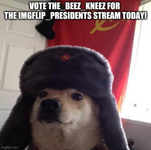 here's the link: strawpoll.me/21201934/r | VOTE THE_BEEZ_KNEEZ FOR  THE IMGFLIP_PRESIDENTS STREAM TODAY! | image tagged in russian doge,the_beez_kneez 2020 | made w/ Imgflip meme maker