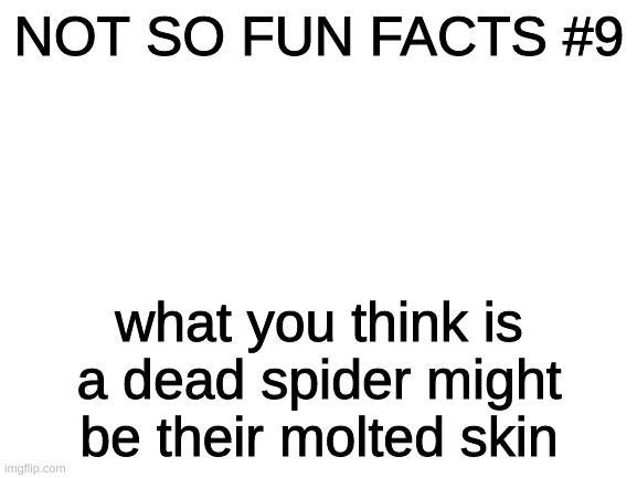 oop- | NOT SO FUN FACTS #9; what you think is a dead spider might be their molted skin | image tagged in blank white template | made w/ Imgflip meme maker