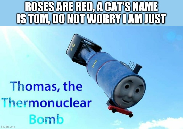 thomas the thermonuclear bomb | ROSES ARE RED, A CAT'S NAME IS TOM, DO NOT WORRY I AM JUST | image tagged in thomas the thermonuclear bomb | made w/ Imgflip meme maker