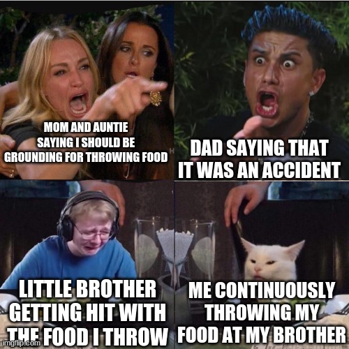 Taylor Armstrong and DJ Pauly D at dinner | MOM AND AUNTIE SAYING I SHOULD BE GROUNDING FOR THROWING FOOD; DAD SAYING THAT IT WAS AN ACCIDENT; LITTLE BROTHER GETTING HIT WITH THE FOOD I THROW; ME CONTINUOUSLY THROWING MY FOOD AT MY BROTHER | image tagged in four panel taylor armstrong pauly d callmecarson cat | made w/ Imgflip meme maker