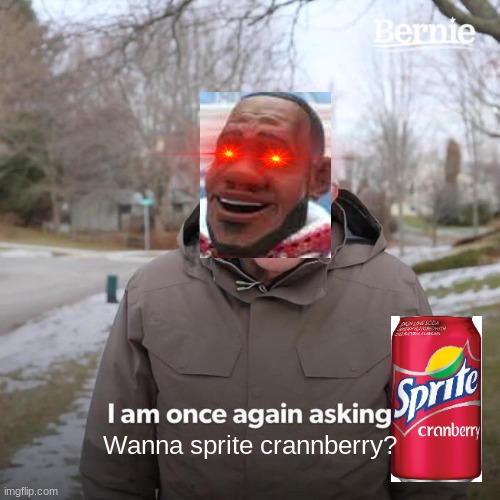 Bernie I Am Once Again Asking For Your Support | Wanna sprite crannberry? | image tagged in memes,bernie i am once again asking for your support | made w/ Imgflip meme maker