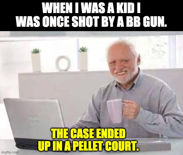 Harold | WHEN I WAS A KID I WAS ONCE SHOT BY A BB GUN. THE CASE ENDED UP IN A PELLET COURT. | image tagged in harold | made w/ Imgflip meme maker