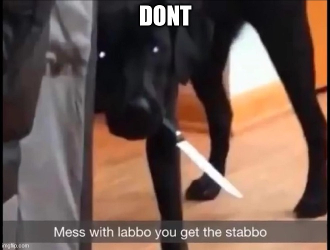mess with labbo you get stabbo | DONT | image tagged in mess with labbo you get stabbo | made w/ Imgflip meme maker