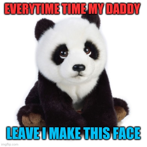 EVERYTIME TIME MY DADDY; LEAVE I MAKE THIS FACE | image tagged in bear | made w/ Imgflip meme maker