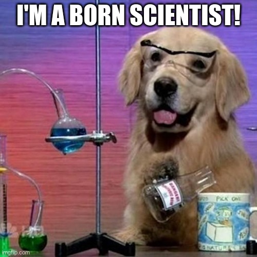 I Have No Idea What I Am Doing Dog Meme | I'M A BORN SCIENTIST! | image tagged in memes,i have no idea what i am doing dog | made w/ Imgflip meme maker