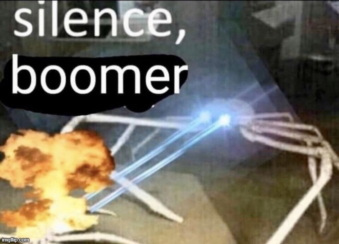 i used this for a comment | image tagged in silence boomer,memes,comments | made w/ Imgflip meme maker