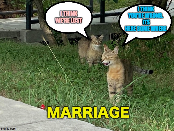 Marriage | I THINK YOU'RE WRONG.  ITS HERE SOME WHERE; I THINK WE'RE LOST; MARRIAGE | image tagged in marriage,google,laugh,no,lost,pffft | made w/ Imgflip meme maker