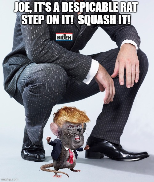 Trump will be crushed on election day by Biden! | JOE, IT'S A DESPICABLE RAT
STEP ON IT!  SQUASH IT! | image tagged in joe biden,despicable donald,dump trump,rat,election 2020,squashed | made w/ Imgflip meme maker