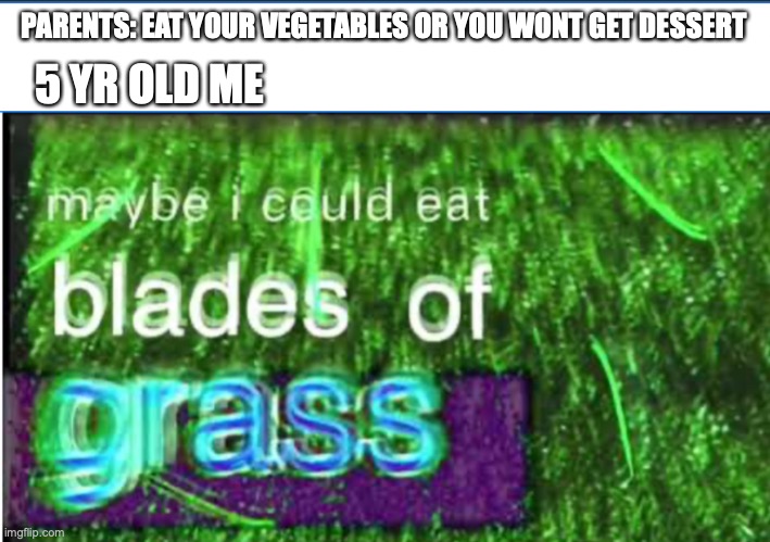 maybe one day my meme will get more that 5 upvotes | PARENTS: EAT YOUR VEGETABLES OR YOU WONT GET DESSERT; 5 YR OLD ME | image tagged in bill wurtz | made w/ Imgflip meme maker