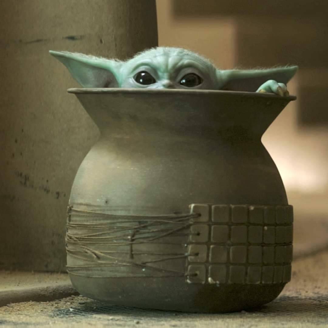 Baby Yoda pot Blank Meme Template