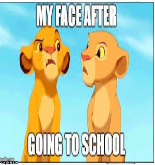 no school | image tagged in simba | made w/ Imgflip meme maker