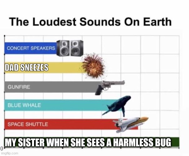 . | DAD SNEEZES; MY SISTER WHEN SHE SEES A HARMLESS BUG | image tagged in the loudest sounds on earth | made w/ Imgflip meme maker