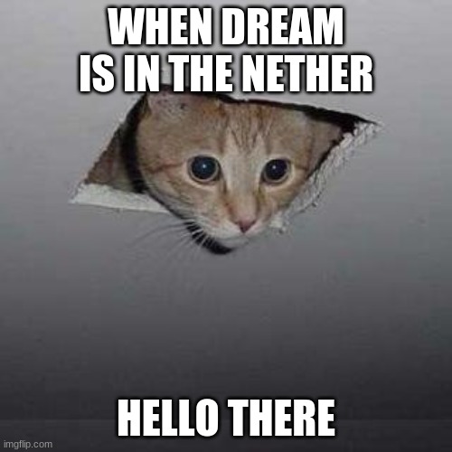Ceiling Cat | WHEN DREAM IS IN THE NETHER; HELLO THERE | image tagged in memes,ceiling cat | made w/ Imgflip meme maker