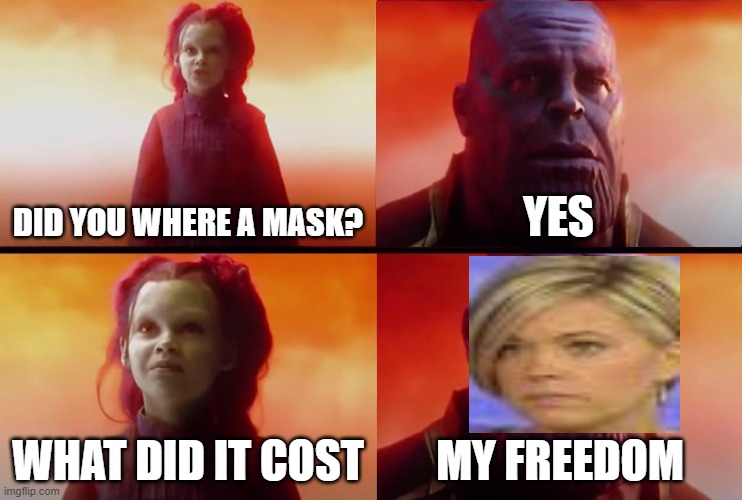 thanos what did it cost | DID YOU WHERE A MASK? YES; WHAT DID IT COST; MY FREEDOM | image tagged in thanos what did it cost | made w/ Imgflip meme maker