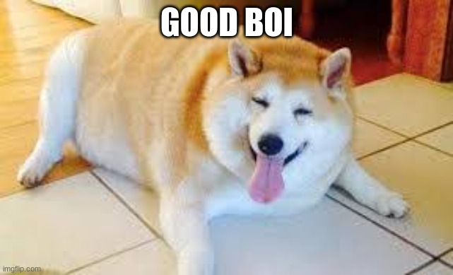 Thicc Doggo | GOOD BOI | image tagged in thicc doggo | made w/ Imgflip meme maker